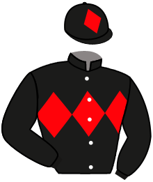 Casaque de GREAT LORD
