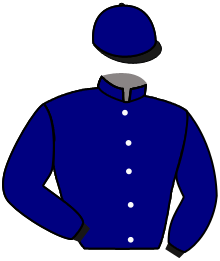 Casaque de PUERTO RICO
