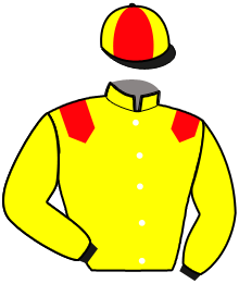 Casaque de L'AS DU PERCHE