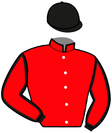 Casaque de LOUSTIC D'YVEL