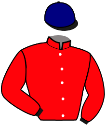 Casaque de IDEALE DU CHENE