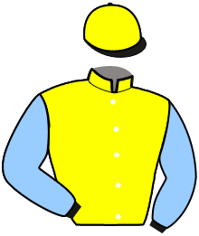 Casaque de JUDGE D.
