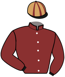 Casaque de JOVIALE GEMA