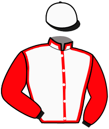 Casaque de NIDILLERO