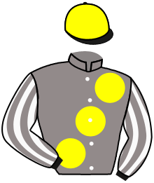 Casaque de MAGOT DE L'ISLE