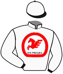 Casaque de DINO