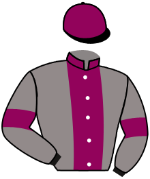 Casaque de MAITRE DU JEU