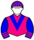 Casaque de PRINCE OF DUBAI