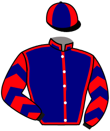 Casaque de JOSTFAN