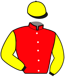 Casaque de NINJA DE LA FERME