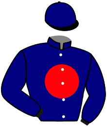 Casaque de PERFECT MAN