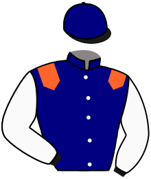 Casaque de SUNNY SWING