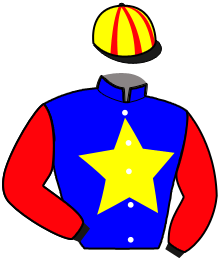 Casaque de NIL DU BANNEY