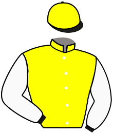 Casaque de SHOWNA