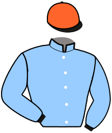 Casaque de MYSTERE DES ARRIS