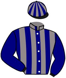Casaque de KOKTAIL BRESILIEN