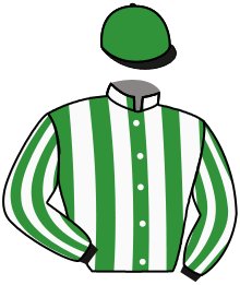 Casaque de GREEN EMPRESS