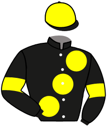 Casaque de MARVELMAN