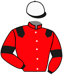 Casaque de ZELICA