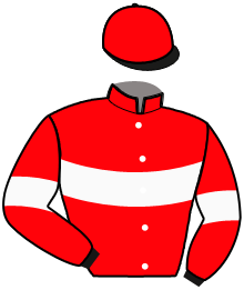 Casaque de SANDYMAN