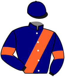 Casaque de LOGO DE BERTRANGE